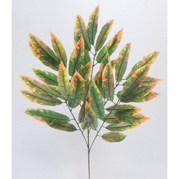 I@Xv[@12{Zbg@( CeAt  lH ϗtA)22-40GYR