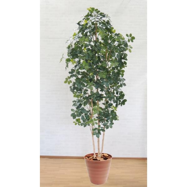 ^TCY VFt ̖ 270cm ( CeA lH ϗtA A t  fBXvC A IuWF)