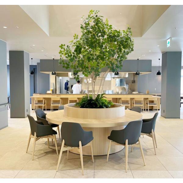 シェフレラ 240cm 大型フェイクグリーンの魅力と設置ガイド