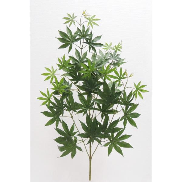 ~WXv[[t 3{ ( CeA gt@݂   lHϗtA)