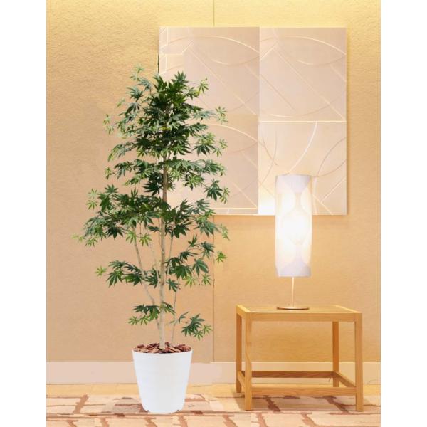 ΂̃Cn~W 180cm (tFCNO[ A {  ^ lHϗt CeA ItBX ϗtA X }  xXgO[ JGf)