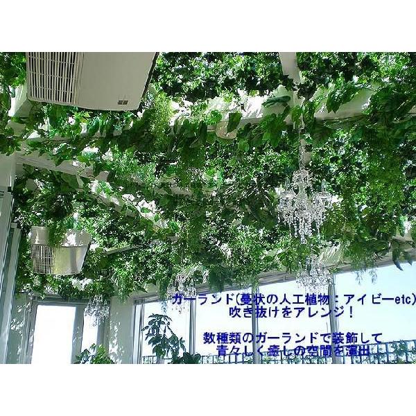 エバーグリーングレープガーランド 2本入り ウォール グリーン 造花 フェイク リーフ Diy 壁面装飾 Am3069x2 造花観葉植物専門店ビワールデコ 通販 Yahoo ショッピング