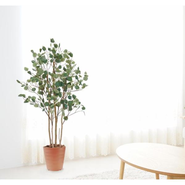 ユーカリ ポポラス 150cm (フェイク グリーン 造花 ハートリーフ ユーカリ ポポラス 150cm (フェイク グリーン 造花 ハートリーフ