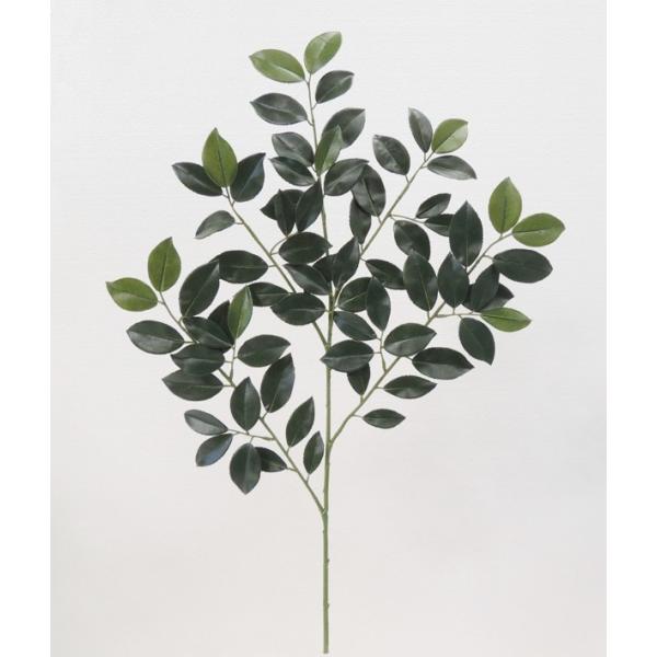 TUJ Xv[ 6{Zbg ( CeA t  lH ϗtA)