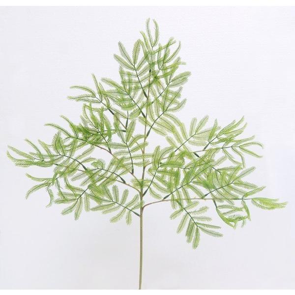 Go[tbV ˂ނ̖ [t 6{ ( CeA t   lHϗtA)