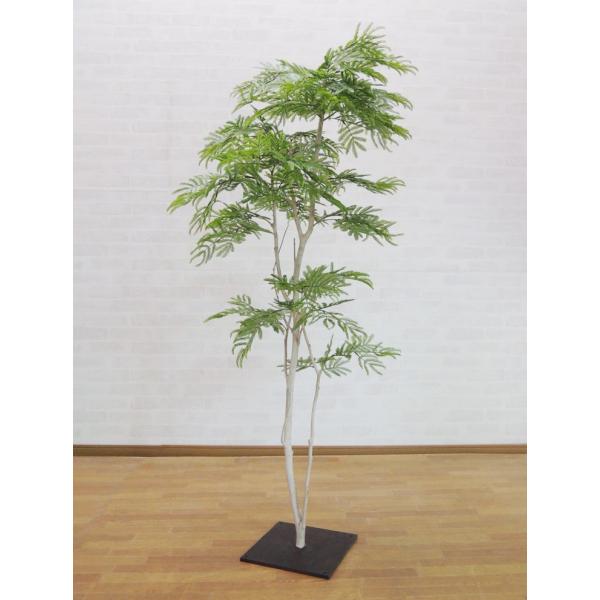 Go[tbV 160cm (lmL tFCNO[ A { ^ lHϗt CeA ItBX ϗtA  X }  xXgO[)