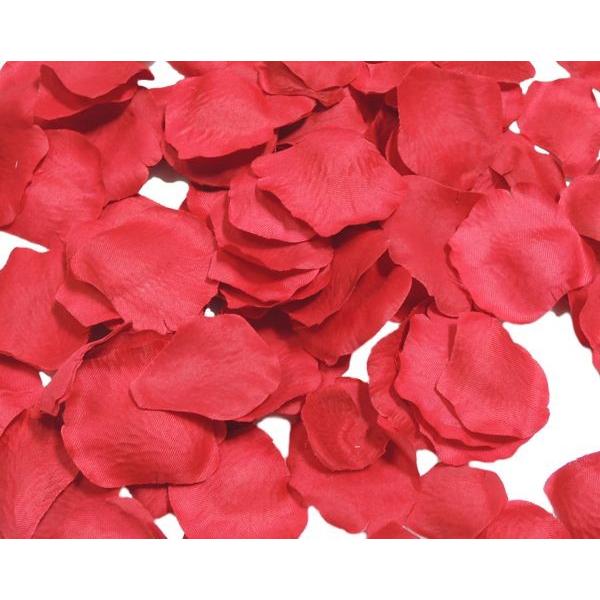 造花 バラの花びら レッド フラワーシャワー ウエディング インテリア 3パック入り 1袋 約1枚入り Am4115 003 造花観葉植物専門店ビワールデコ 通販 Yahoo ショッピング