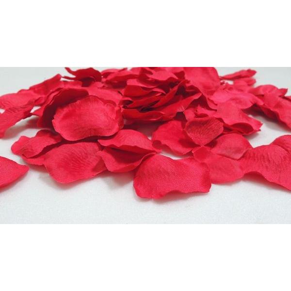 造花 バラの花びら レッド フラワーシャワー ウエディング インテリア 3パック入り 1袋 約1枚入り Am4115 003 造花観葉植物専門店ビワールデコ 通販 Yahoo ショッピング