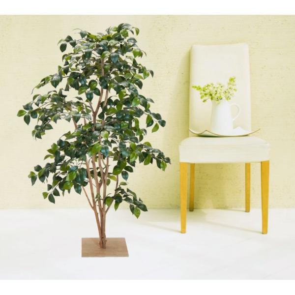 coL 130cm R ( tFCNO[ A X ~j lHϗt CeA ItBX ϗtA  X   xXgO[)