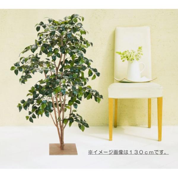 coL 160cm R (tFCNO[ A {  ^ lHϗt CeA ItBX ϗtA  X }  xXgO[)