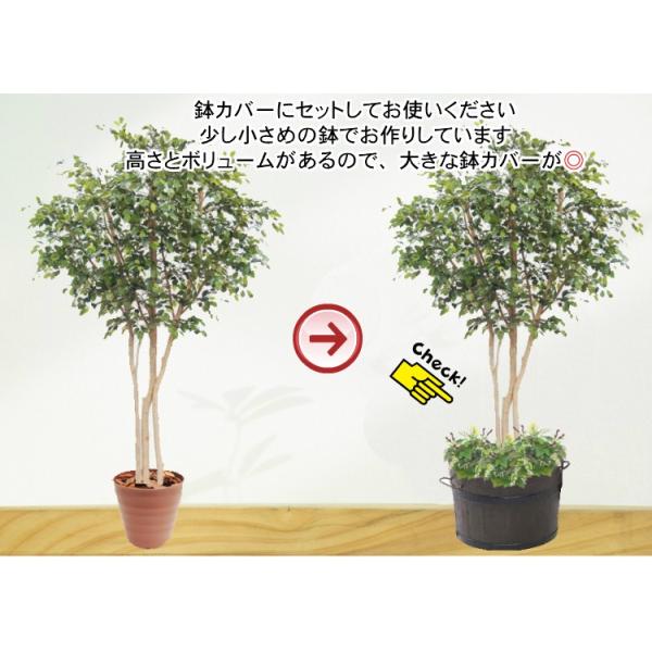 大型サイズ ベンジャミンの木 高さ 300cm 3本株立 半円タイプ (人工 