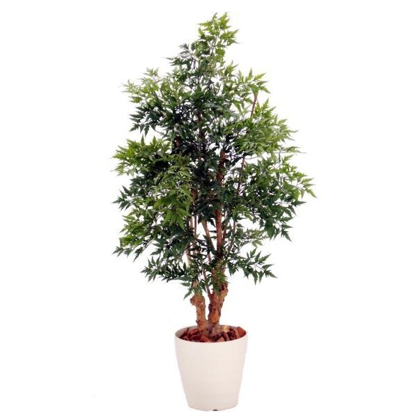 アラリア古木ツリー 180cm 鉢植え 造花 観葉植物 室内 おしゃれ 大型 インテリア フェイク グリーン 1 8m Am5 3060 造花観葉植物専門店ビワールデコ 通販 Yahoo ショッピング