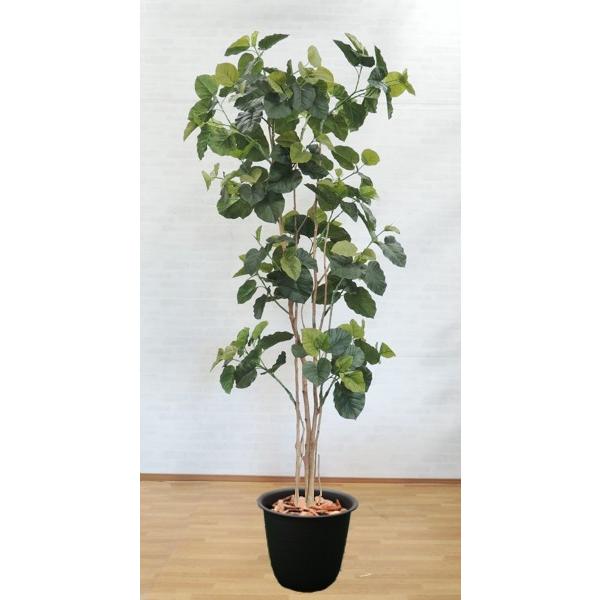 大型サイズ 人工観葉植物 ウンベラータ 高さ270cm インテリア 造花 樹木 造木 フェイクグリーン 室内向け Am5018 270 造花観葉植物専門店ビワールデコ 通販 Yahoo ショッピング
