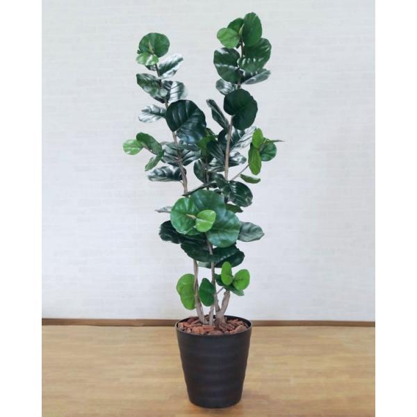 V[O[v 170cm (tFCNO[ A {  ^ lHϗt CeA ItBX ϗtA  X }  xXgO[)