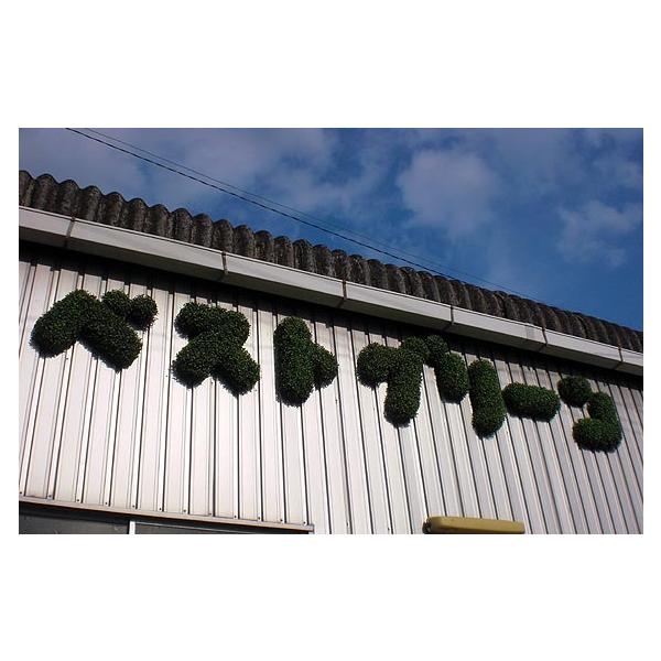 文字オブジェ 50cm 50cm カタカナ アルファベット 壁面装飾 人工マット Buyee Buyee Japanese Proxy Service Buy From Japan Bot Online