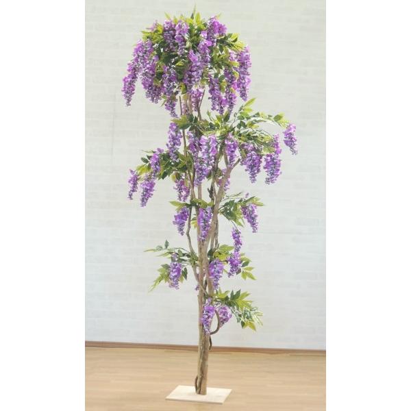 ̖ 230cm (CeA  ϗtA tW p[v  2.3m   tFCN O[ ^)