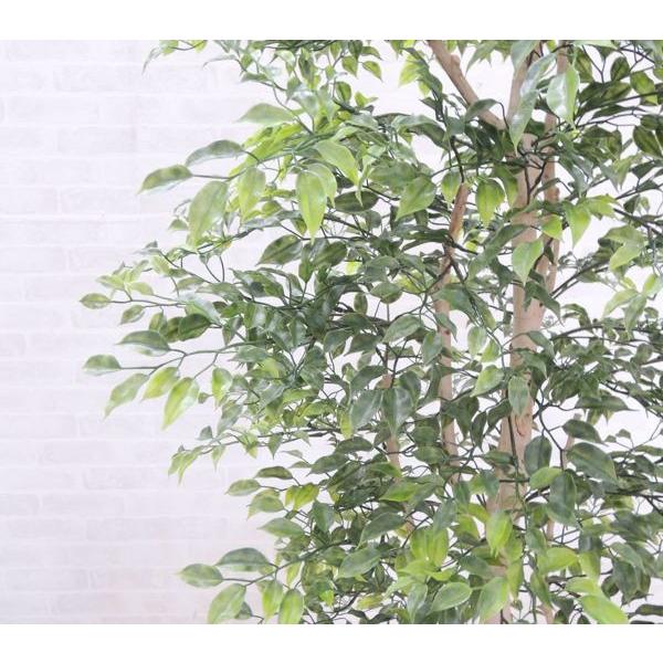 小さい葉っぱの木 150cm 鉢植え 造花 ミニフィカス ベンジャミン インテリア おしゃれ 室内 人工 観葉植物 フェイク グリーン 屋外使用可能 1 5ｍ Am5122 150a 造花観葉植物専門店ビワールデコ 通販 Yahoo ショッピング