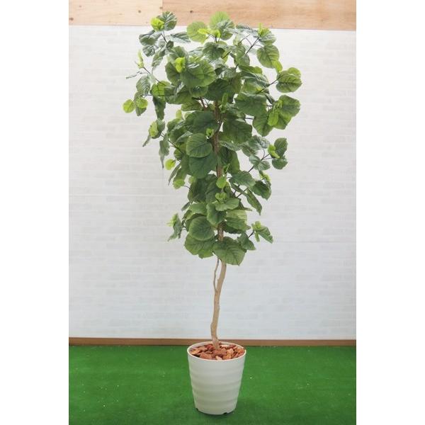 ウンベラータ 210cm 鉢植え 造花 インテリア 観葉植物 おしゃれ 大型 グリーン プラント Am5138 210 造花観葉植物専門店ビワールデコ 通販 Yahoo ショッピング