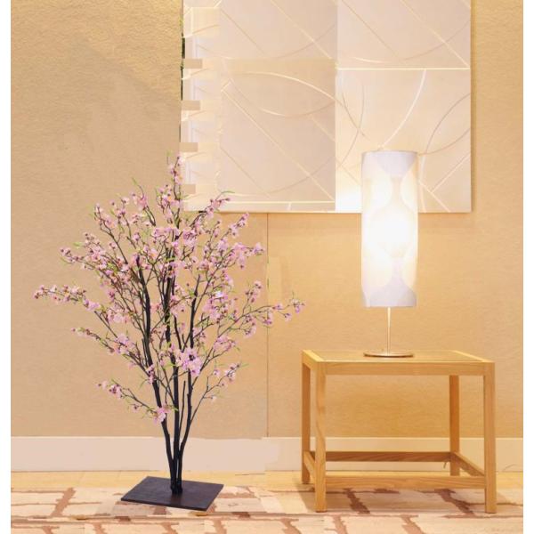 ~̖ 130cm (E  CeA ϗtA lH a GNXeA 1m   tFCN t    sN  bh zCg)