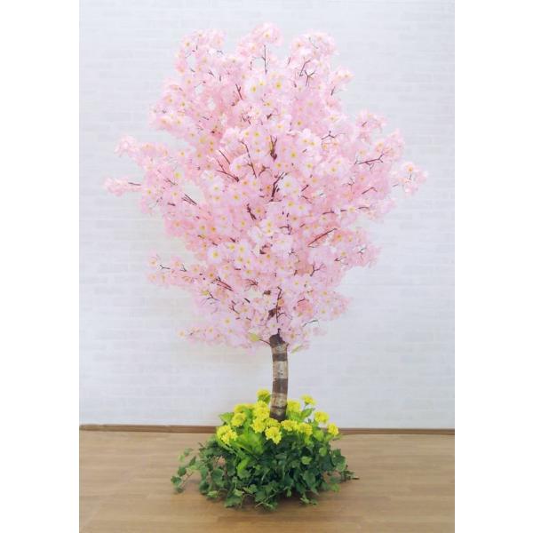  ̖ 180cm  d (؂̉ԃo[W   CeA ϗtA TN t   ^  A)