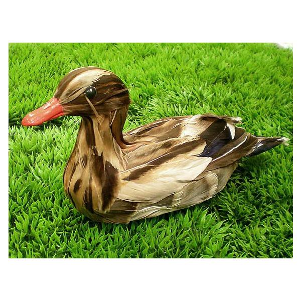 RK 20cm i3j(o[h   fBXvCpi i ͌^ IuWF )