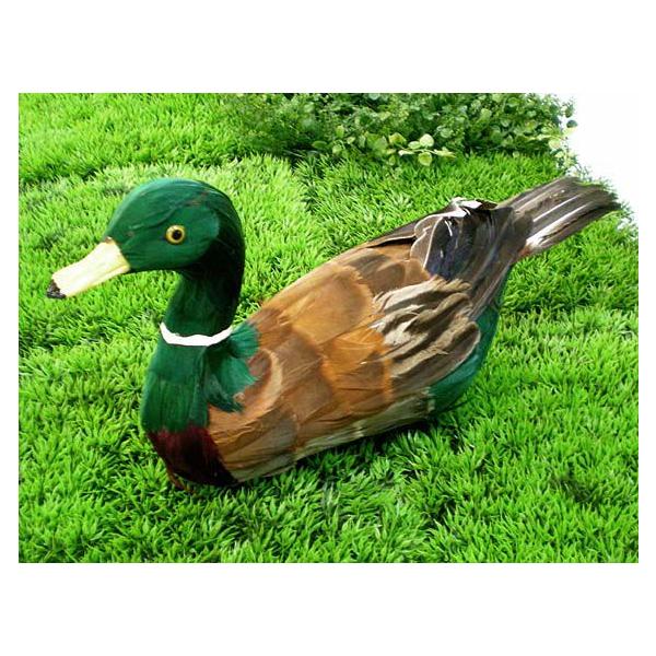 J uEO[ (o[h   fBXvCpi i ͌^ IuWF )