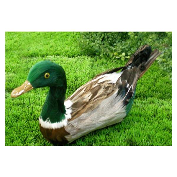 J O[O[ (o[h   fBXvCpi i ͌^ IuWF )