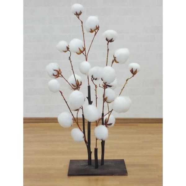 Ȃ̖ 80cm ( lHϗtA Rbg c[ a CeA  ؒ tFCNO[)