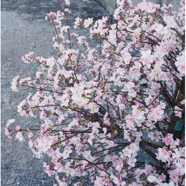 桜の木 Dx 125cm 造花 観葉植物 人工 コンパネ サクラ インテリア オブジェ 分割式 植栽 春 装飾 8063 Buyee 日本代购平台 产品购物网站大全 Buyee一站式代购 Bot Online
