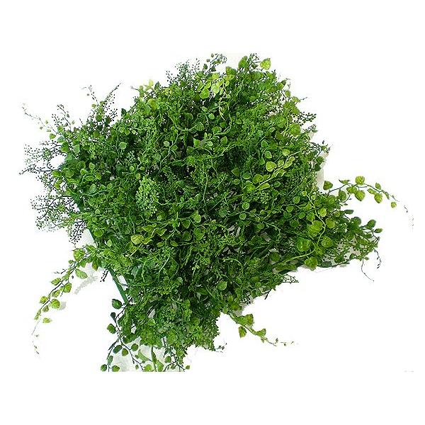 lHŁ@AWA^~bNX[t}bg (2)(  Ő O[ ǖ tFCNO[ Xܑ)