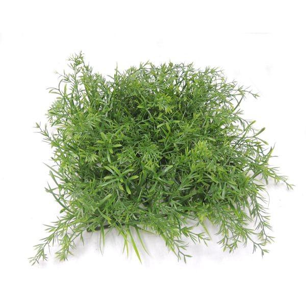 lHŁ@24cmp~bNX[tK[f}bg 2 (Ή  lH  CeA tFCNO[ ǖʑ Xܑ DIY)