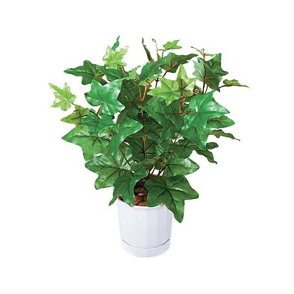 ϐUVCObVACr[ubV@( lHϗtA ǖʗΉ ~jCeA fBXvC)(Ogp\)