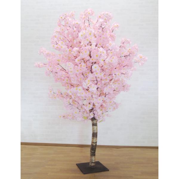  180cm ( CeA ϗtA TN Rpldl t   ^  A)