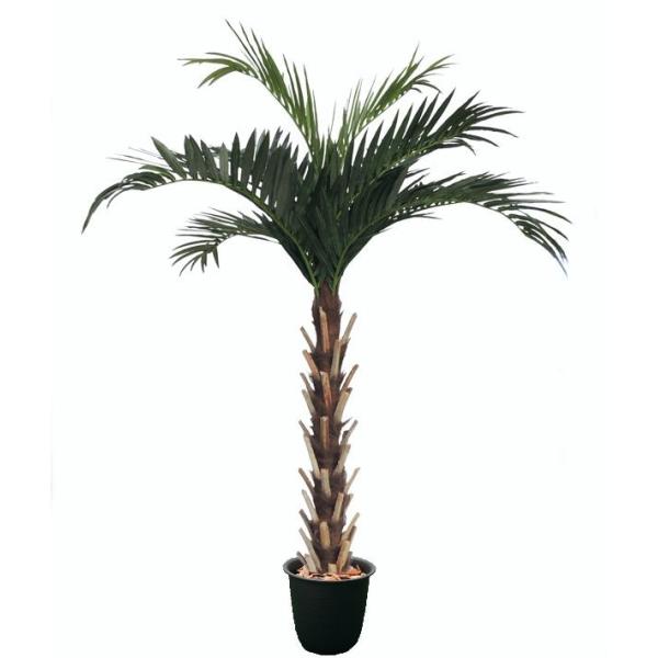 ジャイアントパーム 330cm 人工 観葉植物 大型 造花 ヤシ インテリア 南国風 フェイクグリーン 3 3ｍ Am807 365 1 33 造花 観葉植物専門店ビワールデコ 通販 Yahoo ショッピング