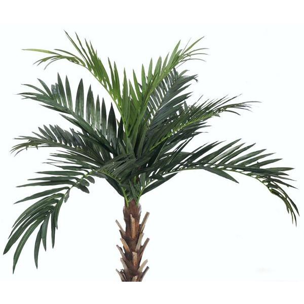 ジャイアントパーム 330cm 人工 観葉植物 大型 造花 ヤシ インテリア 南国風 フェイクグリーン 3 3ｍ Am807 365 1 33 造花 観葉植物専門店ビワールデコ 通販 Yahoo ショッピング