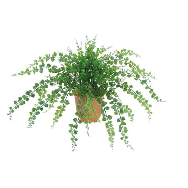 AWA^ubV O[ 3{ ( lHϗtA tFCNO[ DIY ǖʑ)(Ogp\)