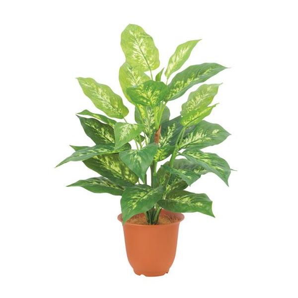 Go[O[fB[tFoLAubV@3{( lHϗtA tFCNO[ DIY ǖʑj