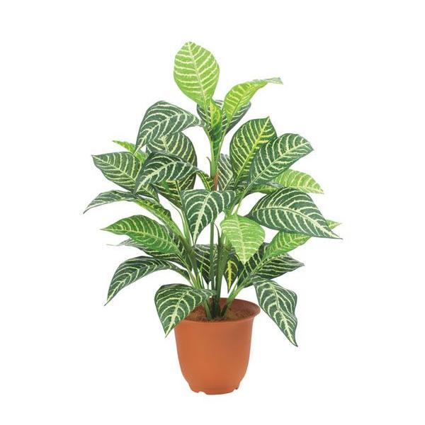 Go[O[[uubV 3{ ( lHϗtA tFCNO[ DIY ǖʑ)