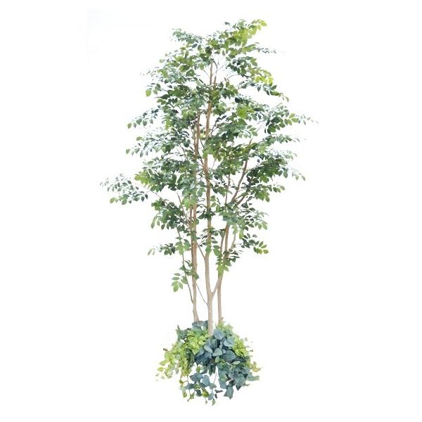 ^TCY k }EeAbV A͕t 280cm (傫  CeA lH ϗtA A t  fBXvC  IuWF 2.8m)