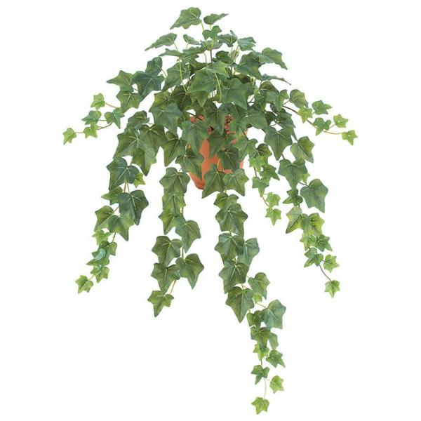 �E�H�[�^�[�v���[�t�O���[�v�t�@�C���A�C�r�[�u�b�V�� �O���[���@3�{����(���� �l�H�ϗt�A�� ���O�g�pOK)