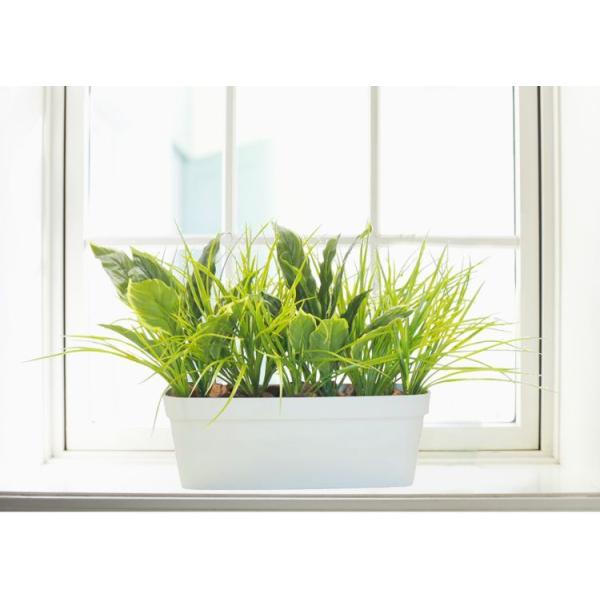 zX^ƃOX̃v^[ 50cm (70cm  CeA lHϗtA M{EV N   ^tFCNvc)