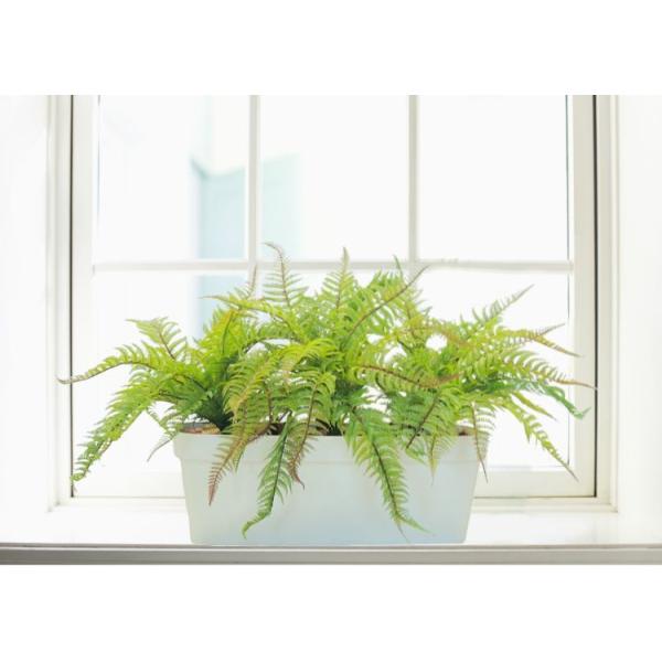 {Xgt@[ v^[ 40cm (65cm  CeA lHϗtA ZCE^}V_ V_   ^tFCNvc)