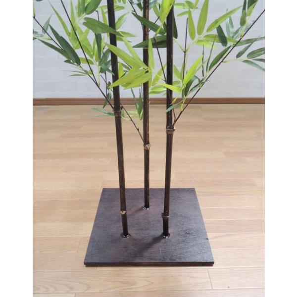観葉植物 黒竹　高さ約130センチ　フデゴケ様 楽天市場】【送料無料】【 単 品 】 クロチク 樹高1.5m前後 30cm