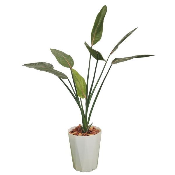 Xg`A 120cm ( CeA O[ lH ϗtA   A)