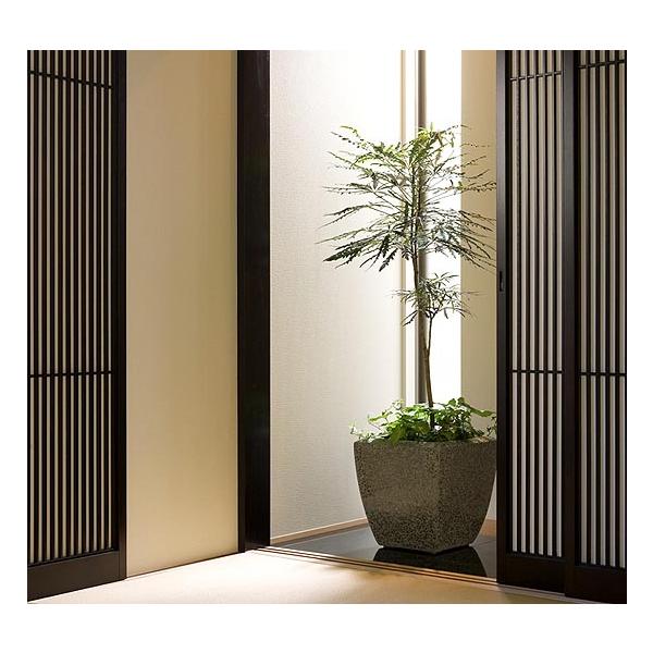 uCg@48^@(/Ԋ/XNGA/v^[)