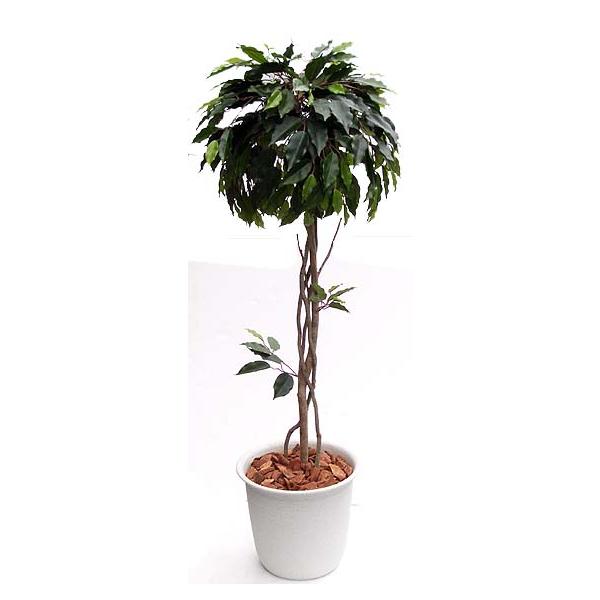 xW~ L[g 130cm (A tFCN O[ CeA  ϗtA   A )