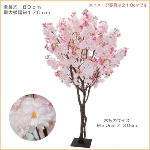 100 の保証高評価のさくらの木 180cm 花 植木 桜 サクラ 植栽 造花 インテリア インテリア 春 観葉植物 サクラ 春 おしゃれ 観葉植物 室内 大型 装飾 植栽 想像を超えての魅力