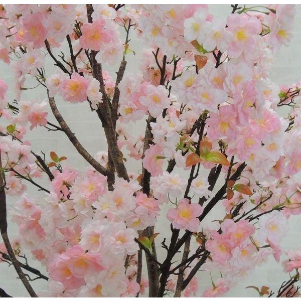 さくらの木 230cm 観葉植物 野草装飾付 桜 造花 インテリア 観葉植物 観葉植物 サクラ サクラ 春 おしゃれ 室内 大型 装飾 植栽 Amj0409 230gd 造花観葉植物専門店ビワールデコ