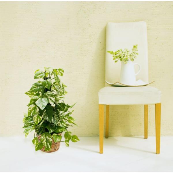 ~h |gX (lHϗtA  IESJY CeA   A tFCNO[)