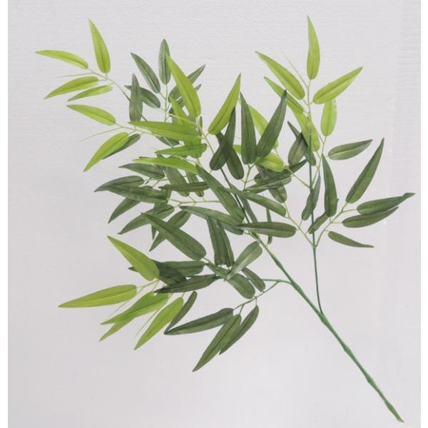 |̗tρ@ou[[t 6{  (lH  CeA [p  fBXvC)